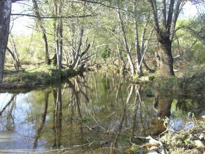 La Confederación Hidrográfica del Duero adjudica a OFITECO la redacción de proyectos de corrección de las alteraciones hidromorfológicas de las masas de agua de las provincias de León, Salamanca, Ávila, Zamora y Orense